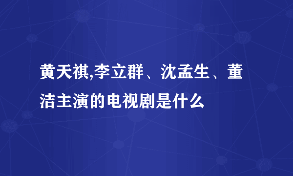 黄天祺,李立群、沈孟生、董洁主演的电视剧是什么