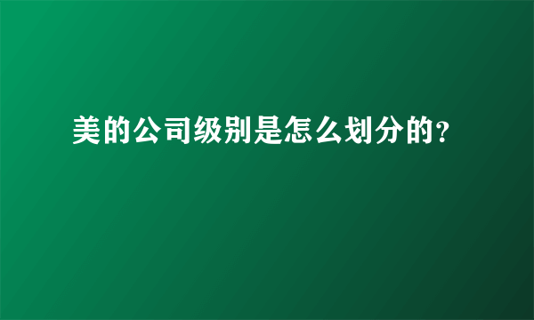 美的公司级别是怎么划分的？