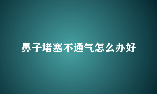 鼻子堵塞不通气怎么办好