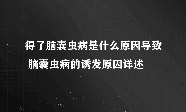 得了脑囊虫病是什么原因导致 脑囊虫病的诱发原因详述