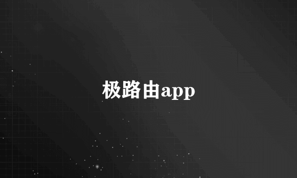 极路由app