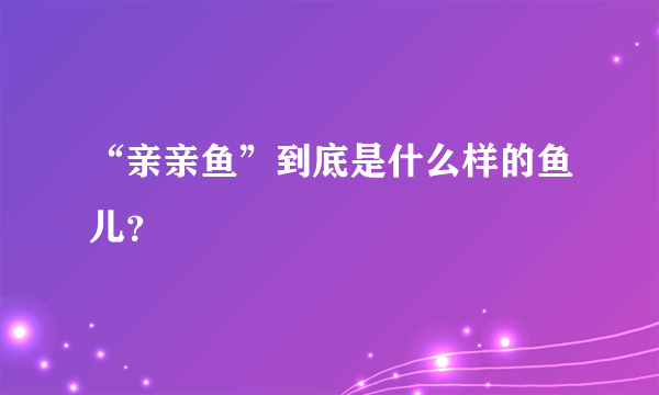 “亲亲鱼”到底是什么样的鱼儿？