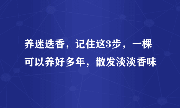 养迷迭香，记住这3步，一棵可以养好多年，散发淡淡香味