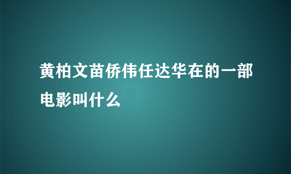 黄柏文苗侨伟任达华在的一部电影叫什么