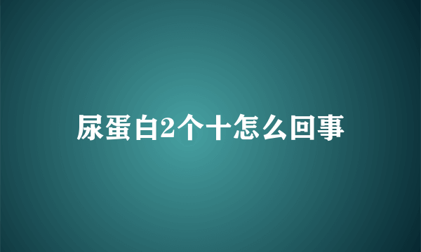 尿蛋白2个十怎么回事