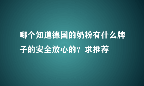 哪个知道德国的奶粉有什么牌子的安全放心的？求推荐