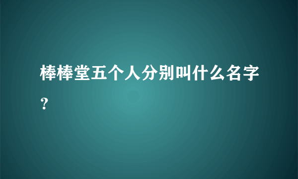 棒棒堂五个人分别叫什么名字？