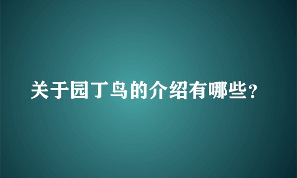 关于园丁鸟的介绍有哪些？