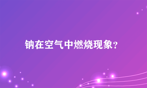 钠在空气中燃烧现象？