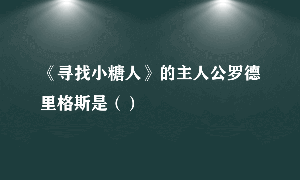 《寻找小糖人》的主人公罗德里格斯是（）