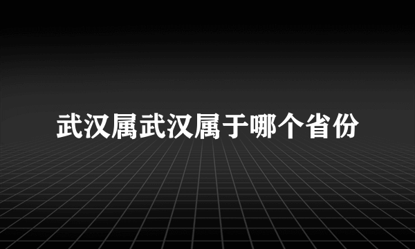 武汉属武汉属于哪个省份