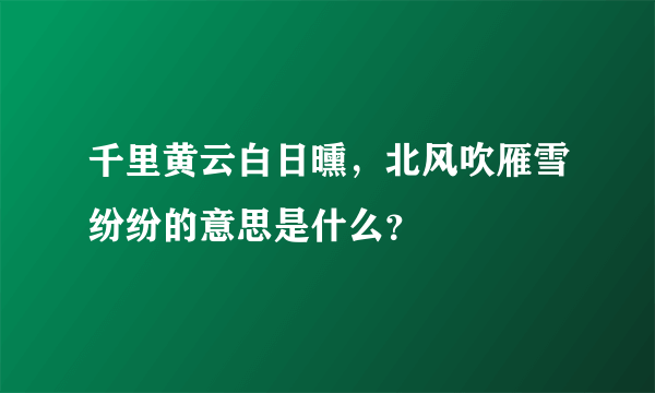 千里黄云白日曛，北风吹雁雪纷纷的意思是什么？