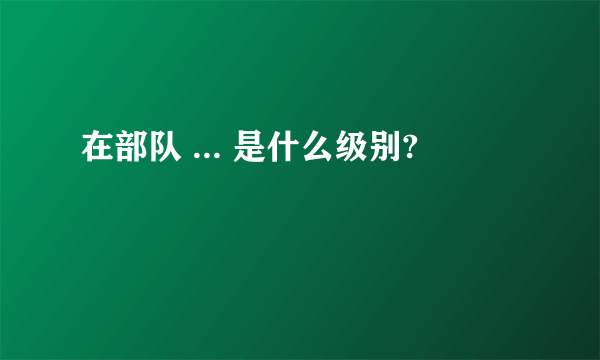 在部队 ... 是什么级别?