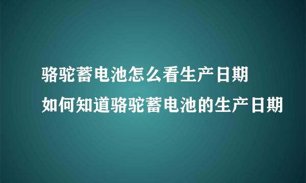 骆驼蓄电池怎么看生产日期 如何知道骆驼蓄电池的生产日期