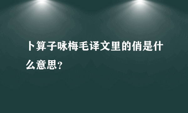 卜算子咏梅毛译文里的俏是什么意思？