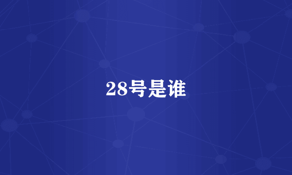 28号是谁