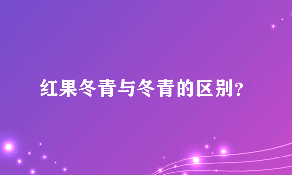 红果冬青与冬青的区别？