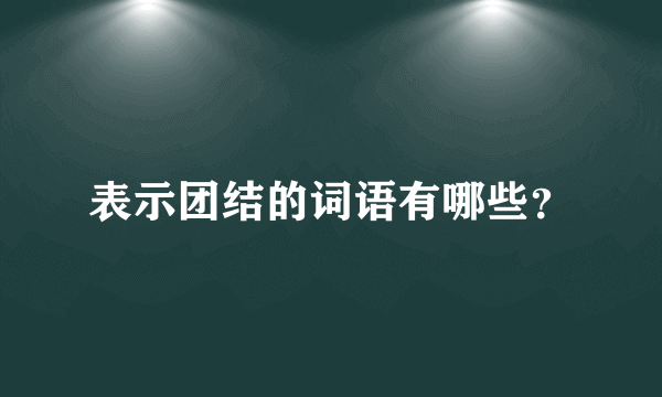 表示团结的词语有哪些？