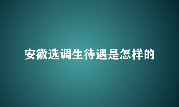 安徽选调生待遇是怎样的