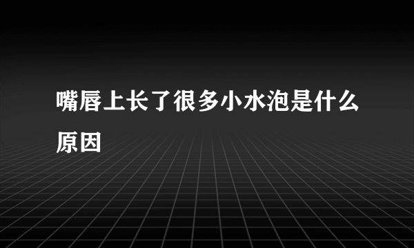 嘴唇上长了很多小水泡是什么原因