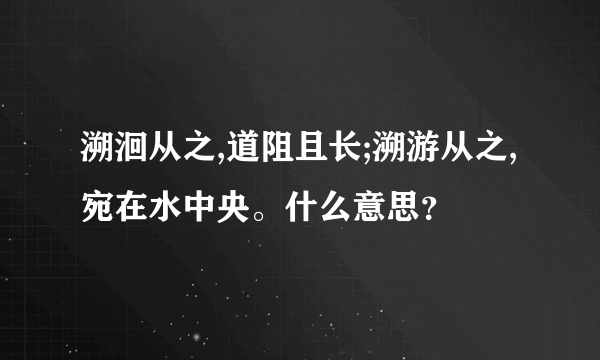 溯洄从之,道阻且长;溯游从之,宛在水中央。什么意思？