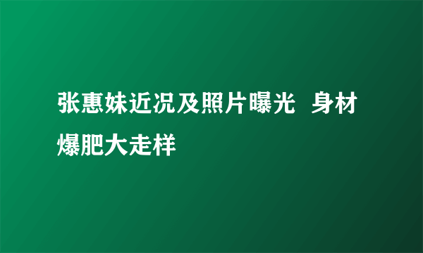 张惠妹近况及照片曝光  身材爆肥大走样