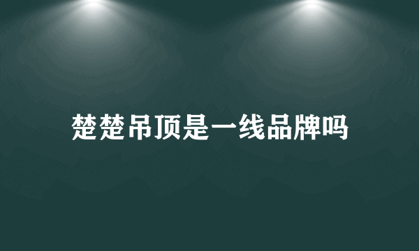 楚楚吊顶是一线品牌吗