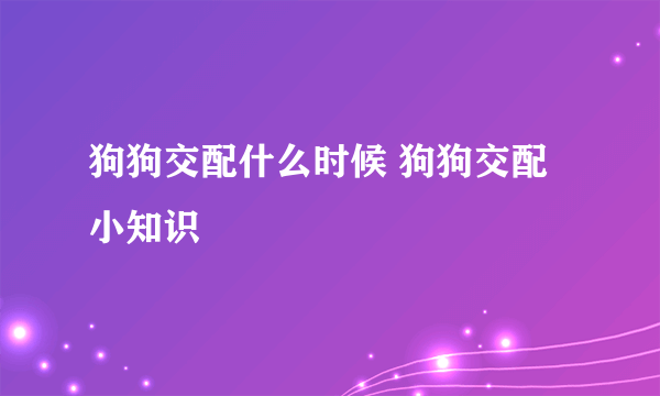 狗狗交配什么时候 狗狗交配小知识