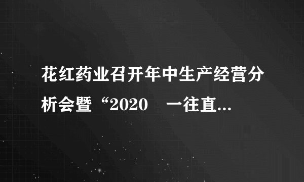 花红药业召开年中生产经营分析会暨“2020•一往直前”户外拓展活动