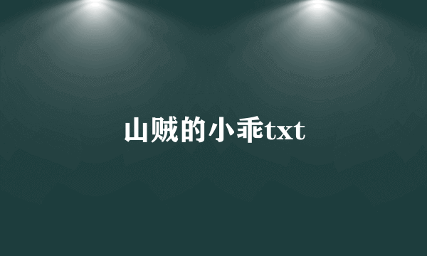 山贼的小乖txt