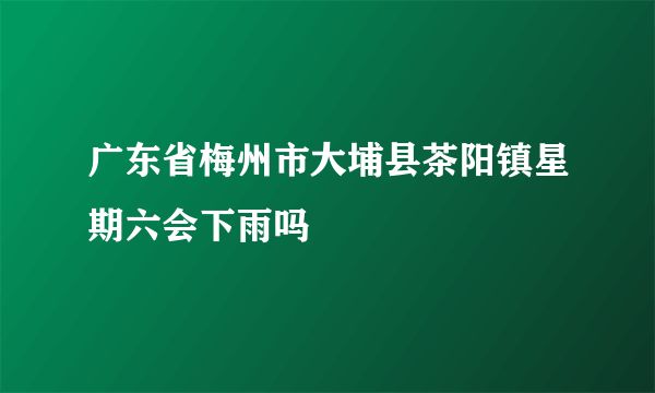 广东省梅州市大埔县茶阳镇星期六会下雨吗