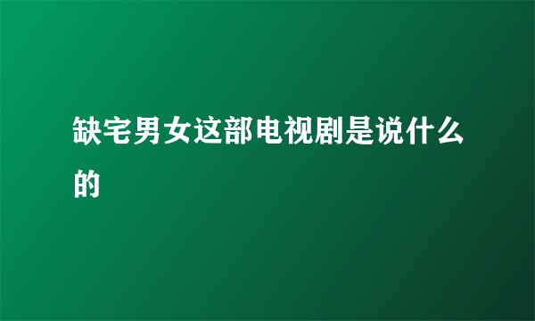 缺宅男女这部电视剧是说什么的