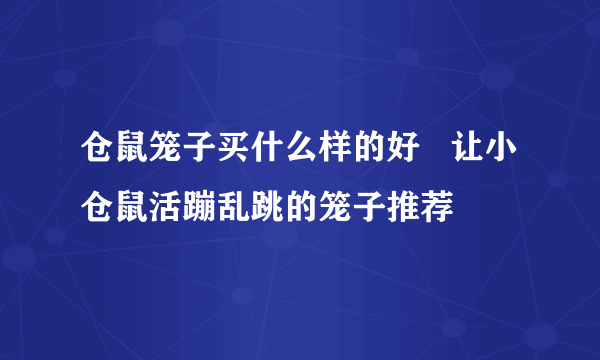 仓鼠笼子买什么样的好   让小仓鼠活蹦乱跳的笼子推荐