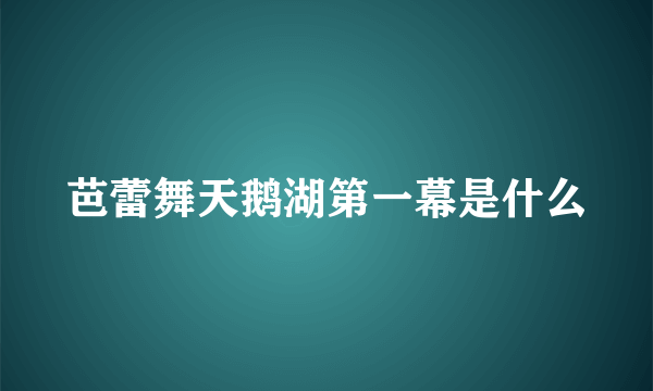 芭蕾舞天鹅湖第一幕是什么