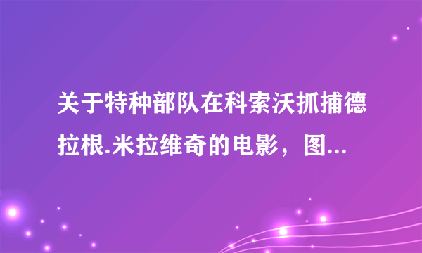 关于特种部队在科索沃抓捕德拉根.米拉维奇的电影，图中人物是电影中的一个演员，请问有谁知道这个电影