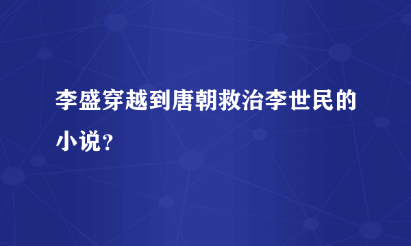 李盛穿越到唐朝救治李世民的小说？