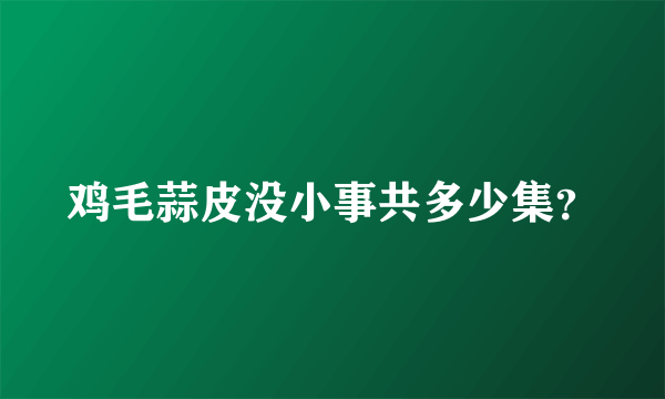 鸡毛蒜皮没小事共多少集？