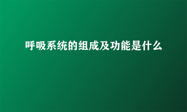 呼吸系统的组成及功能是什么