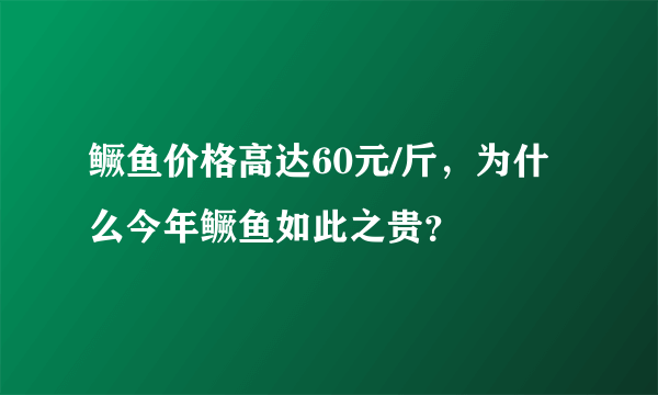 鳜鱼价格高达60元/斤，为什么今年鳜鱼如此之贵？