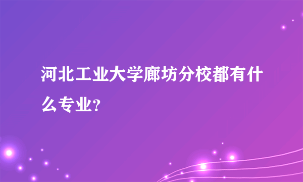 河北工业大学廊坊分校都有什么专业？