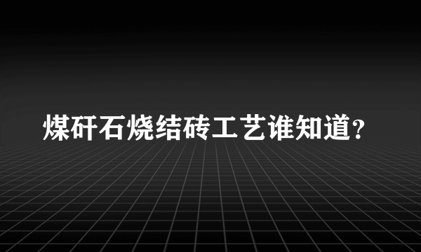 煤矸石烧结砖工艺谁知道？