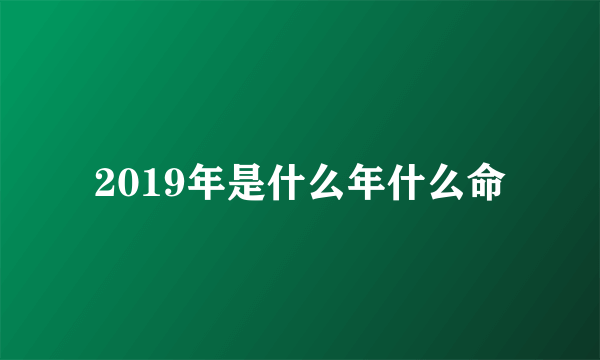 2019年是什么年什么命