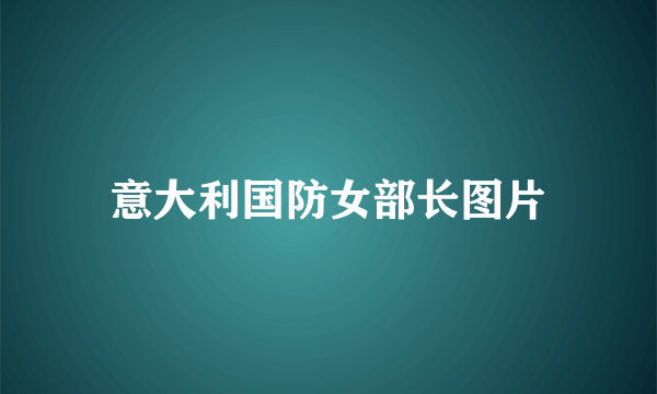 意大利国防女部长图片