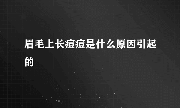 眉毛上长痘痘是什么原因引起的