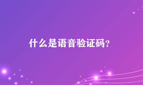 什么是语音验证码？