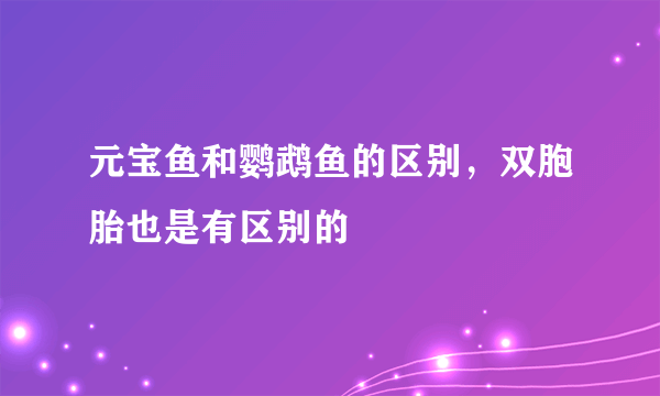 元宝鱼和鹦鹉鱼的区别，双胞胎也是有区别的