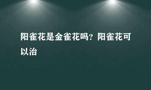 阳雀花是金雀花吗？阳雀花可以治