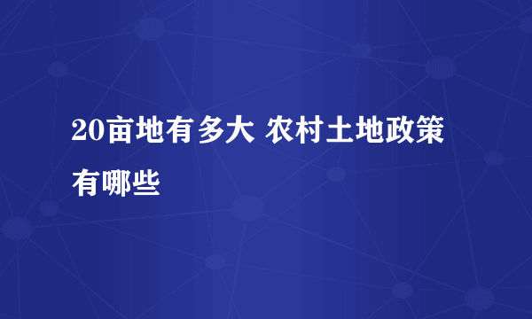 20亩地有多大 农村土地政策有哪些