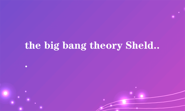 the big bang theory Sheldon语录