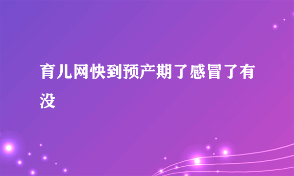 育儿网快到预产期了感冒了有没